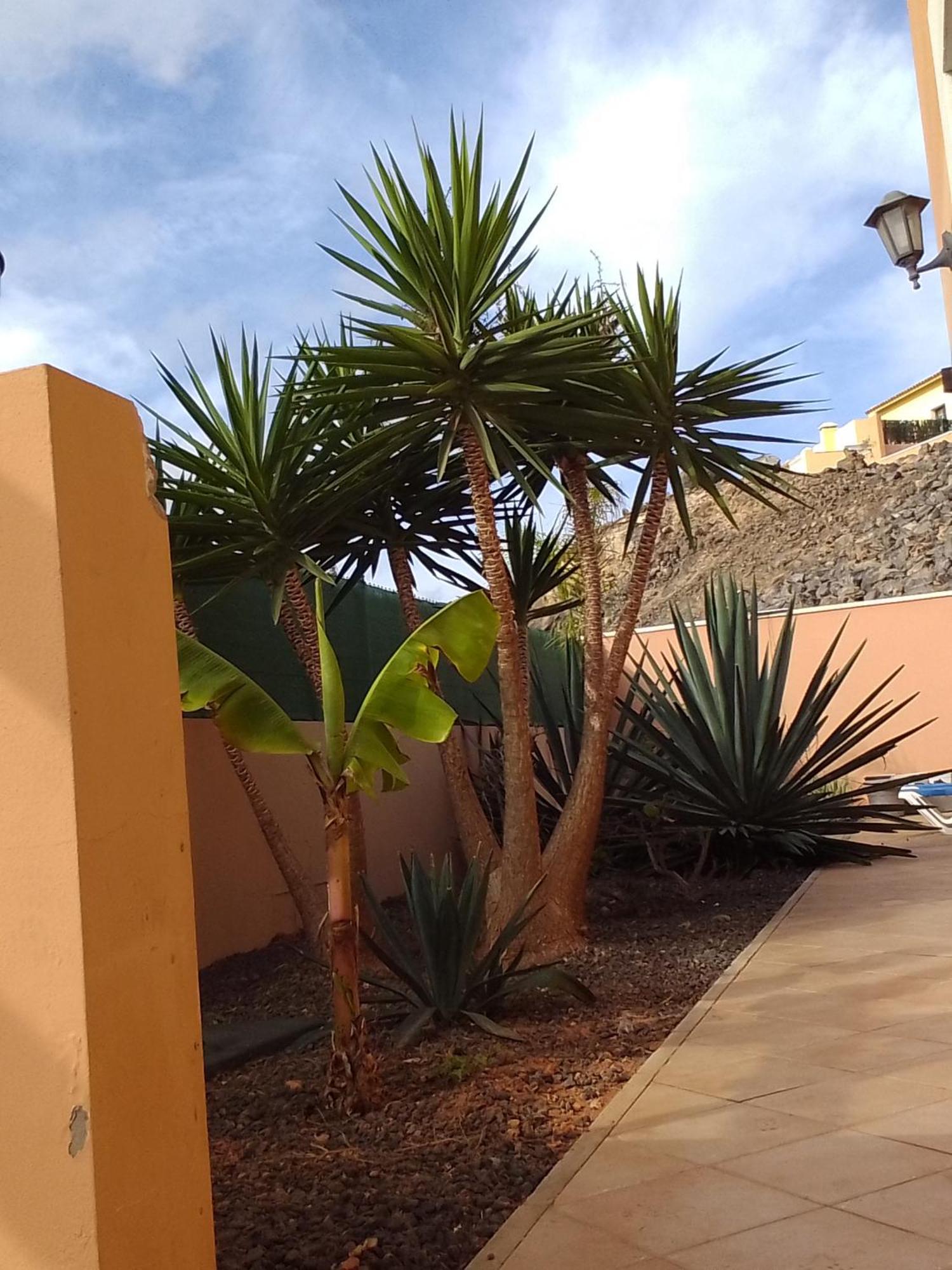 A Casa Di Ilaria Hostel Corralejo Kültér fotó